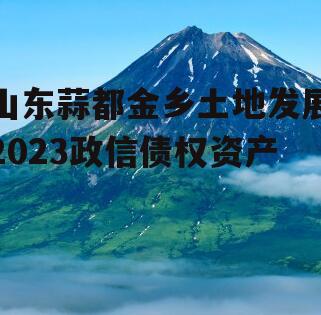 山东蒜都金乡土地发展2023政信债权资产