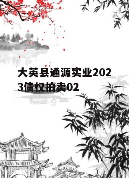 大英县通源实业2023债权拍卖02