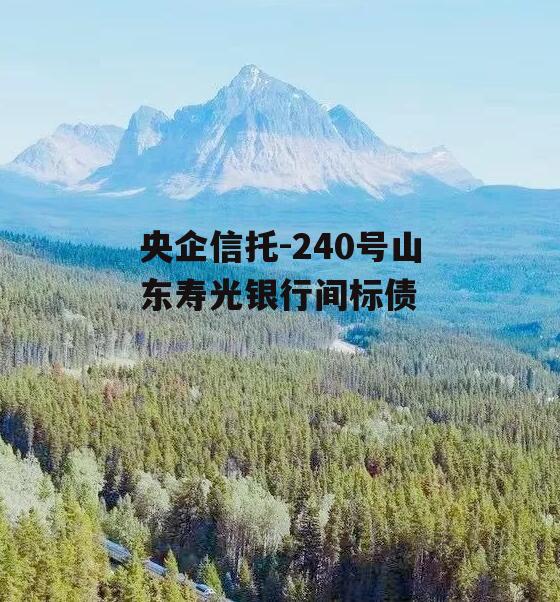 央企信托-240号山东寿光银行间标债