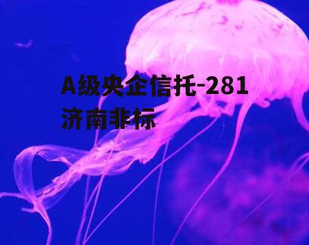 A级央企信托-281济南非标