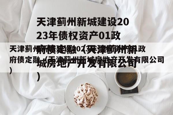 天津蓟州新城建设2023年债权资产01政府债定融（天津蓟州新城房地产开发有限公司）