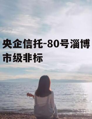 央企信托-80号淄博市级非标