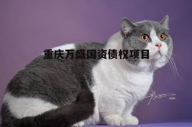 重庆万盛国资债权项目