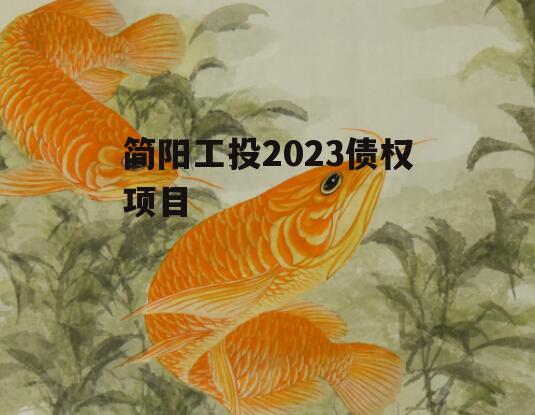 简阳工投2023债权项目