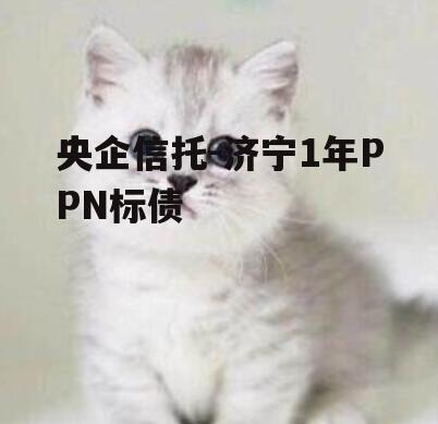 央企信托-济宁1年PPN标债