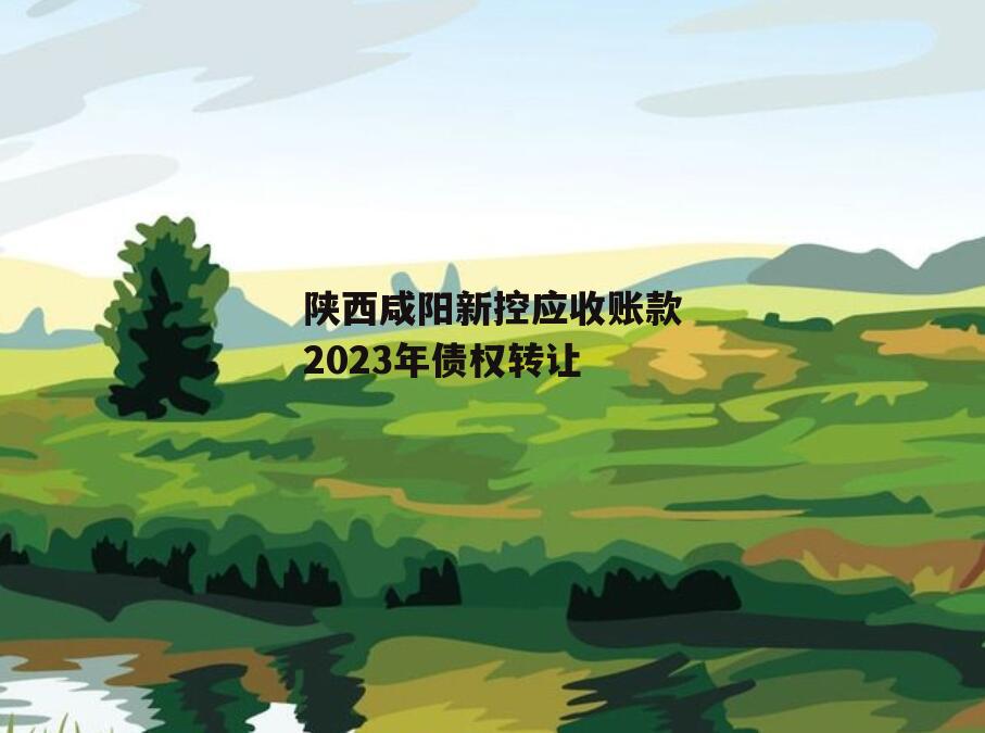 陕西咸阳新控应收账款2023年债权转让