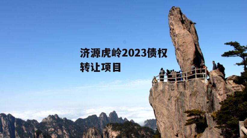 济源虎岭2023债权转让项目