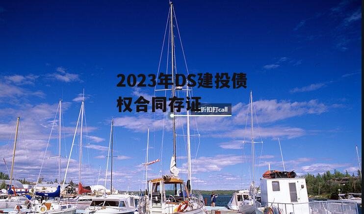 2023年DS建投债权合同存证