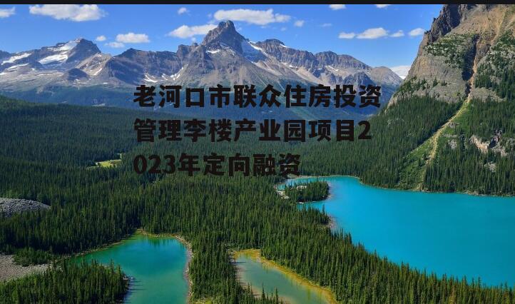 老河口市联众住房投资管理李楼产业园项目2023年定向融资