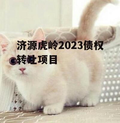 济源虎岭2023债权转让项目