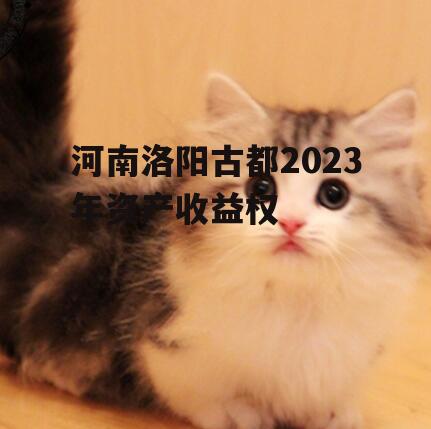 河南洛阳古都2023年资产收益权