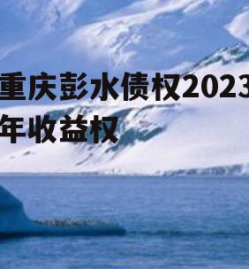 重庆彭水债权2023年收益权