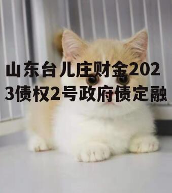 山东台儿庄财金2023债权2号政府债定融