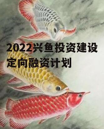 2022兴鱼投资建设定向融资计划