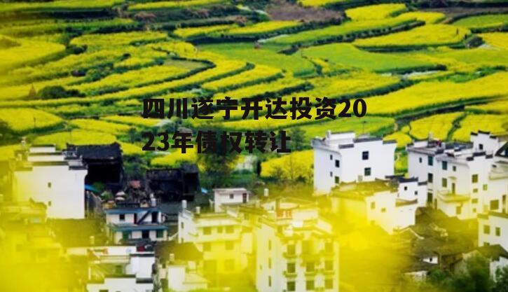 四川遂宁开达投资2023年债权转让