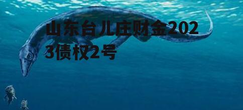 山东台儿庄财金2023债权2号