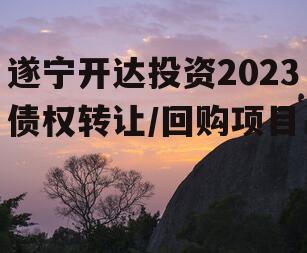 遂宁开达投资2023债权转让/回购项目