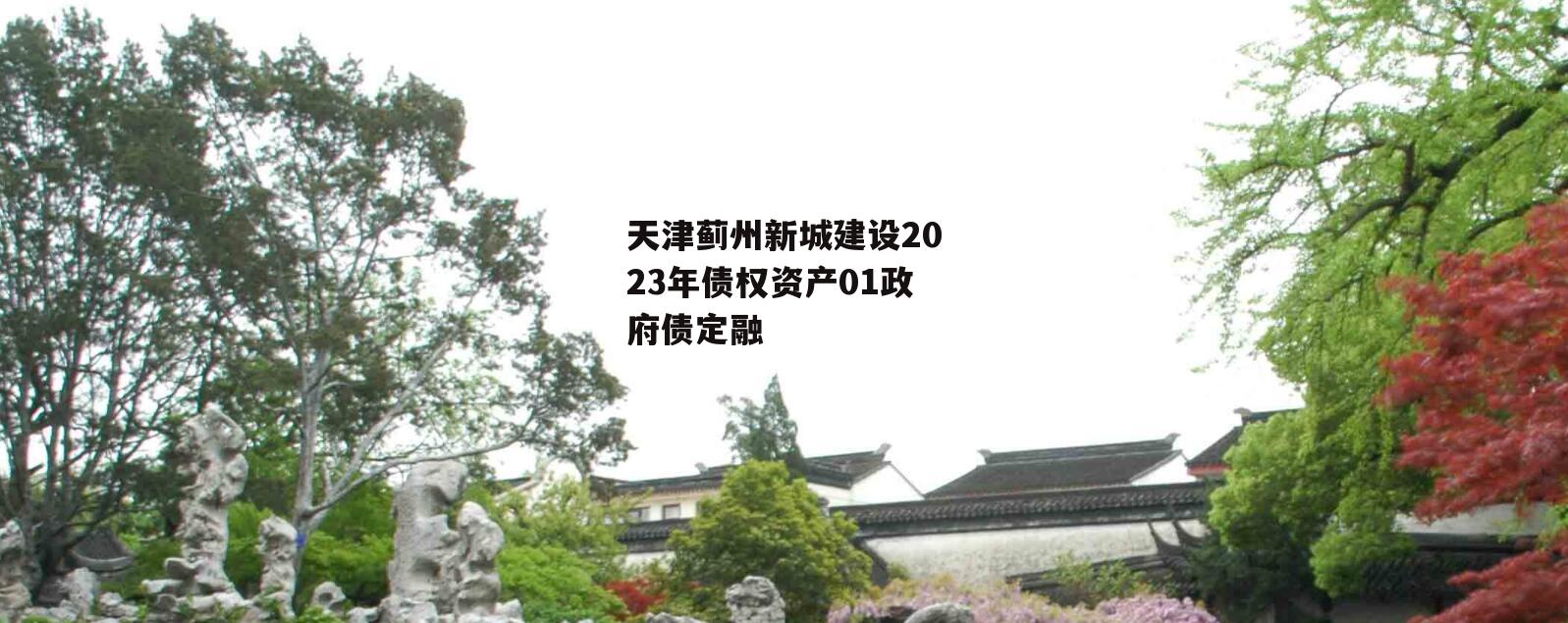 天津蓟州新城建设2023年债权资产01政府债定融