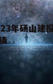 2023年砀山建投政府债