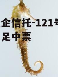 央企信托-121号·大足中票