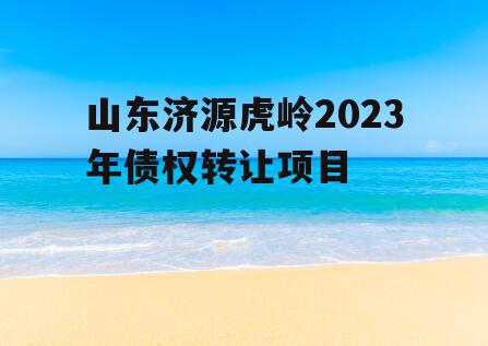 山东济源虎岭2023年债权转让项目