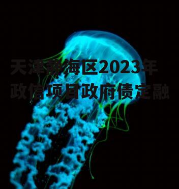 天津静海区2023年政信项目政府债定融