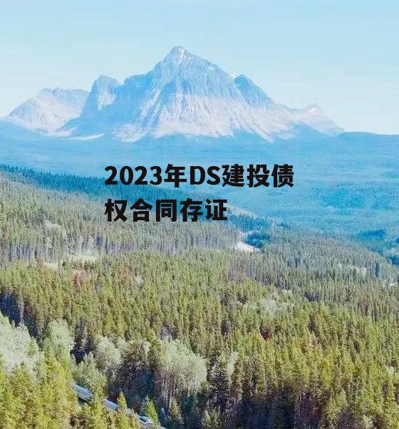 2023年DS建投债权合同存证