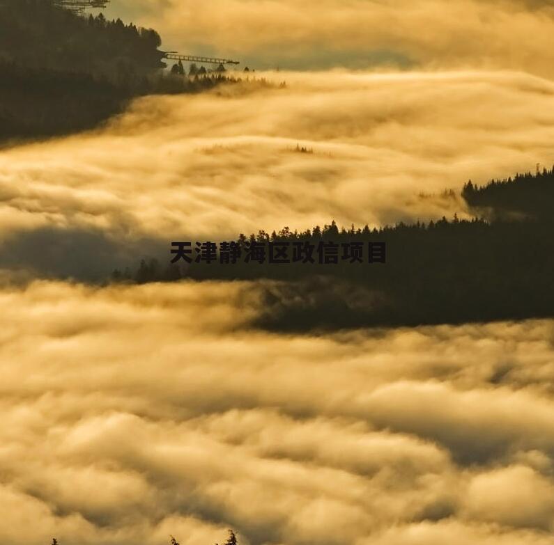 天津静海区政信项目