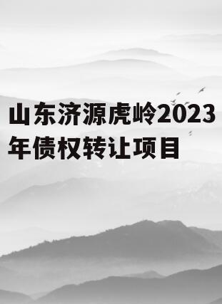 山东济源虎岭2023年债权转让项目