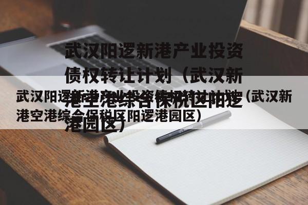 武汉阳逻新港产业投资债权转让计划（武汉新港空港综合保税区阳逻港园区）