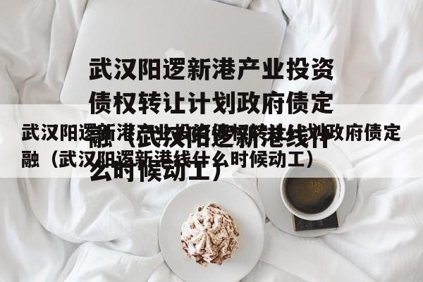 武汉阳逻新港产业投资债权转让计划政府债定融（武汉阳逻新港线什么时候动工）