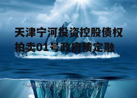 天津宁河投资控股债权拍卖01号政府债定融