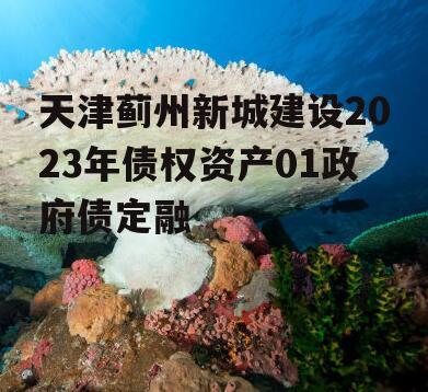 天津蓟州新城建设2023年债权资产01政府债定融