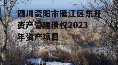 四川资阳市雁江区东升资产管理债权2023年资产项目