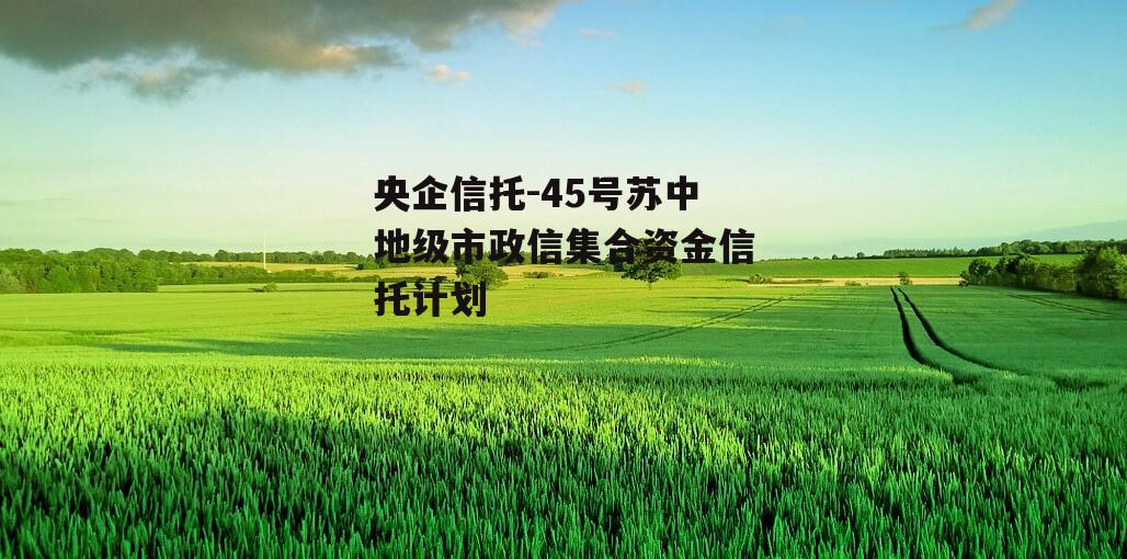 央企信托-45号苏中地级市政信集合资金信托计划