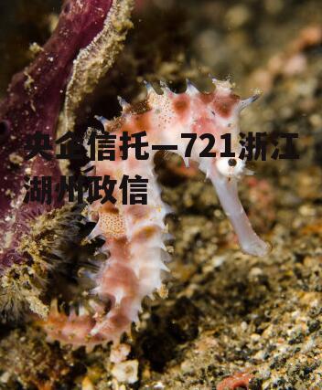 央企信托—721浙江湖州政信