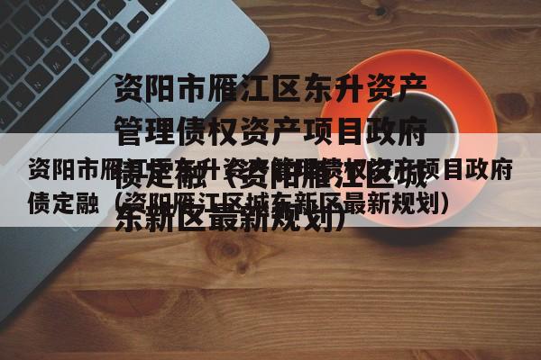 资阳市雁江区东升资产管理债权资产项目政府债定融（资阳雁江区城东新区最新规划）