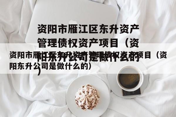 资阳市雁江区东升资产管理债权资产项目（资阳东升公司是做什么的）