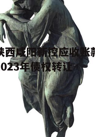 陕西咸阳新控应收账款2023年债权转让