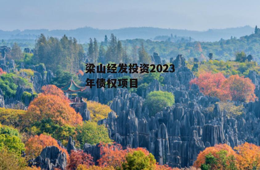 梁山经发投资2023年债权项目