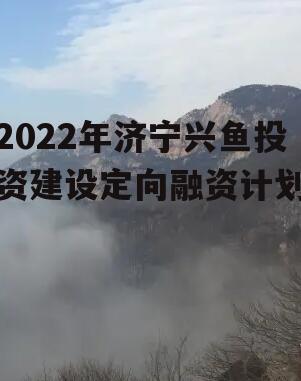 2022年济宁兴鱼投资建设定向融资计划