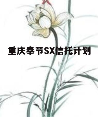 重庆奉节SX信托计划