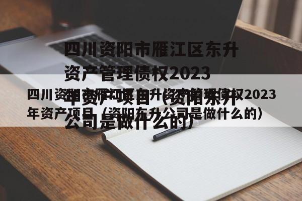 四川资阳市雁江区东升资产管理债权2023年资产项目（资阳东升公司是做什么的）