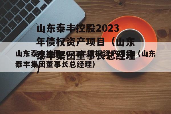 山东泰丰控股2023年债权资产项目（山东泰丰集团董事长总经理）