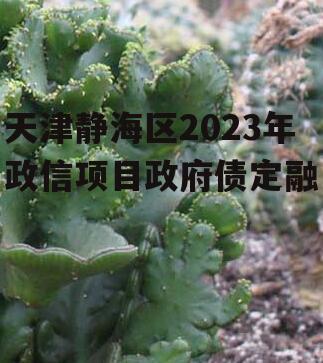 天津静海区2023年政信项目政府债定融