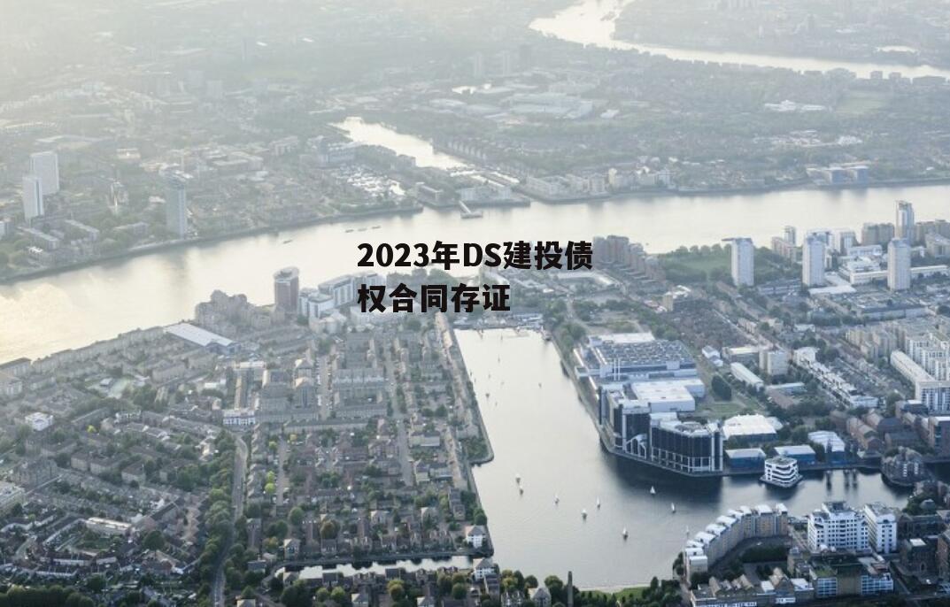 2023年DS建投债权合同存证