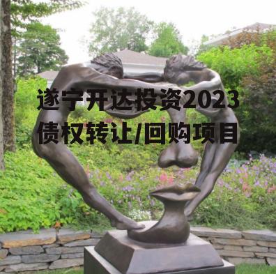 遂宁开达投资2023债权转让/回购项目