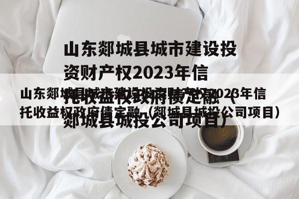 山东郯城县城市建设投资财产权2023年信托收益权政府债定融（郯城县城投公司项目）