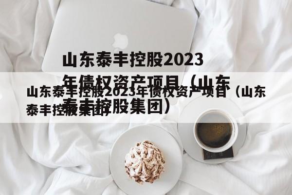 山东泰丰控股2023年债权资产项目（山东泰丰控股集团）