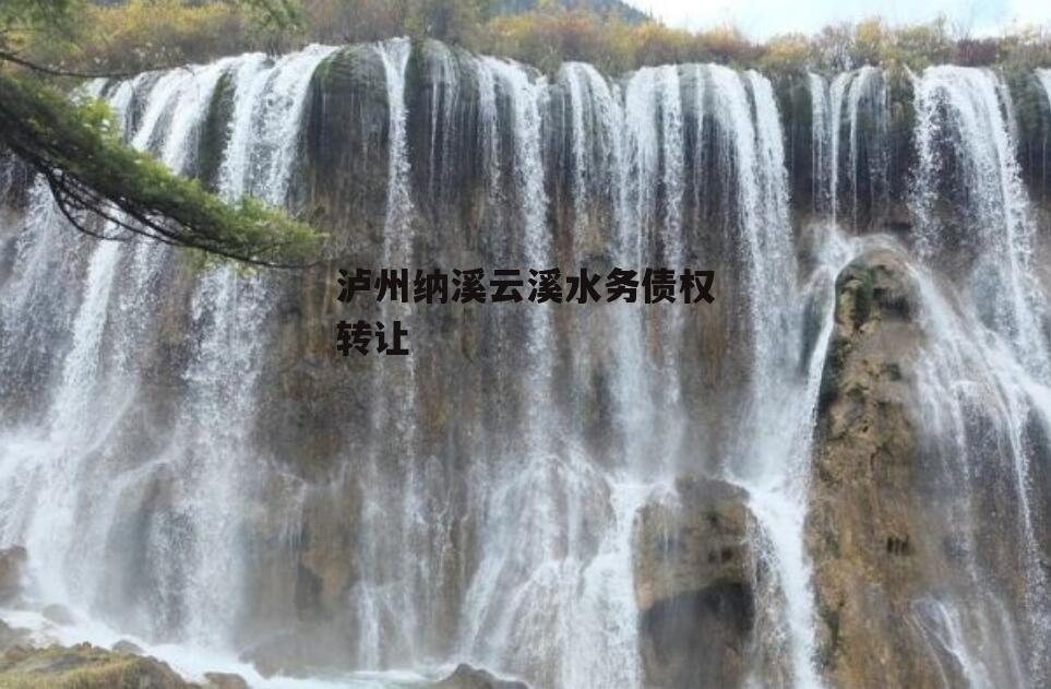 泸州纳溪云溪水务债权转让